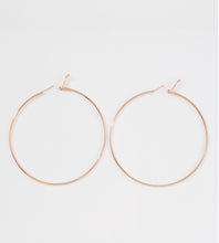 Load image into Gallery viewer, Hoopz (Medium)
